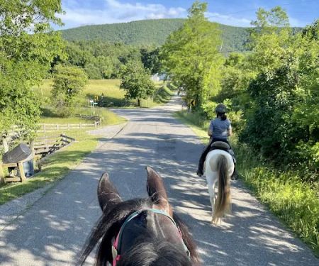 Iron Mountain Horse Camp