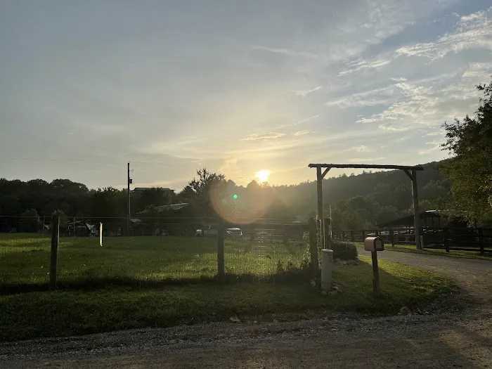Iron Mountain Horse Camp 3
