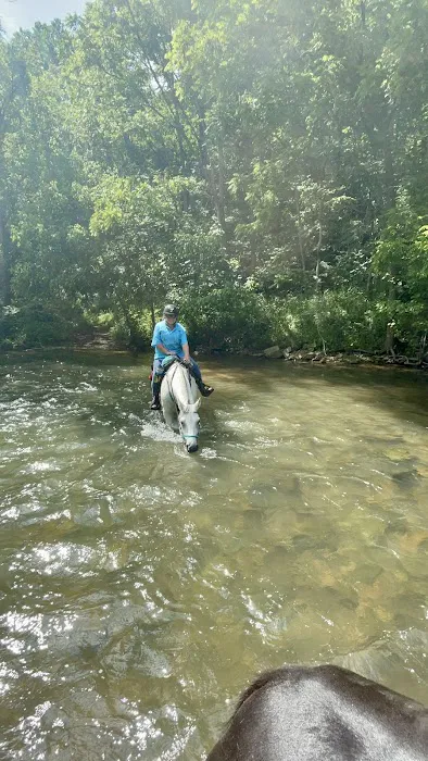 Iron Mountain Horse Camp 5