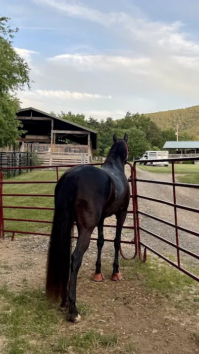 Iron Mountain Horse Camp 10