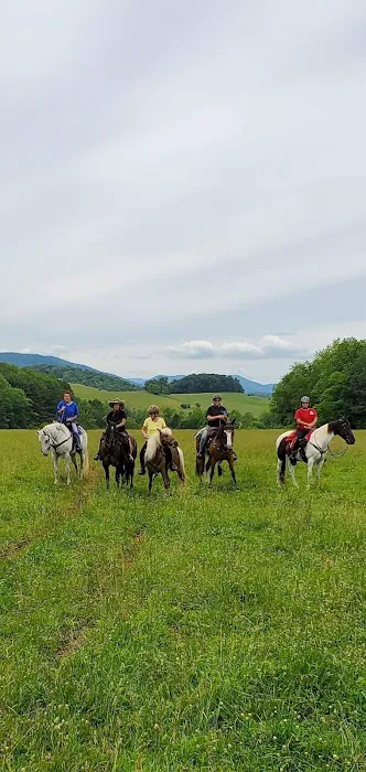 Iron Mountain Horse Camp 9