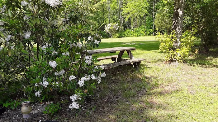 Doe River Campground 3
