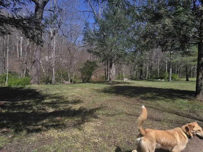 Doe River Campground 5