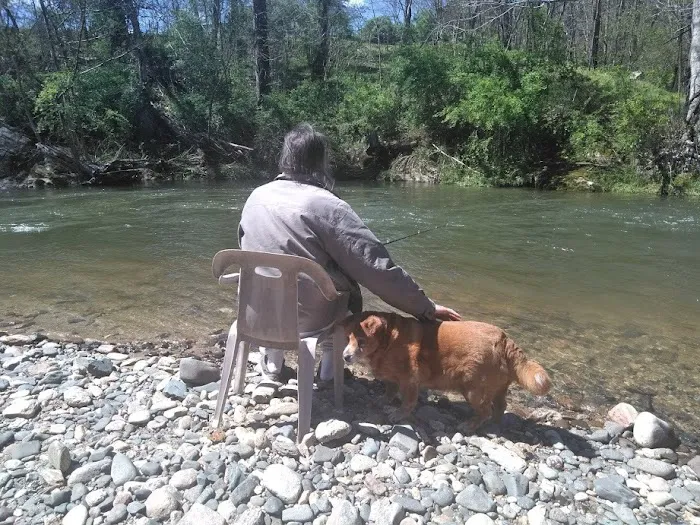 Doe River Campground 10