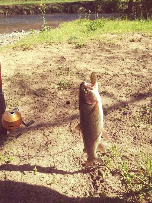 Doe River Campground 7