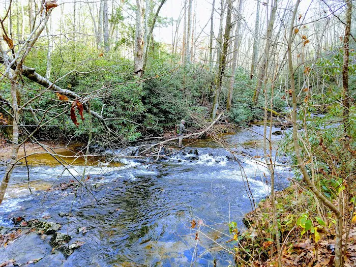Dennis Cove Recreation Area 3