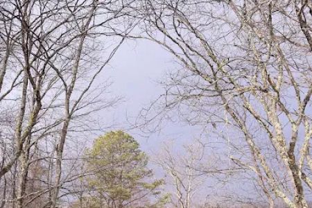 Dennis Cove Recreation Area
