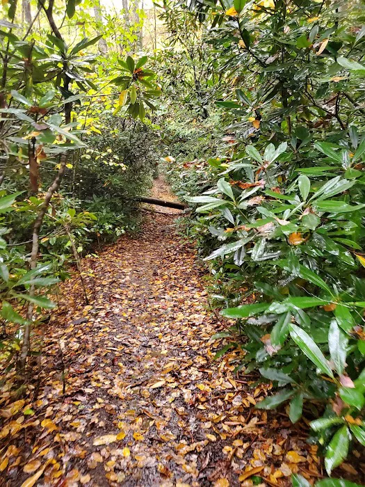 Dennis Cove Recreation Area 5
