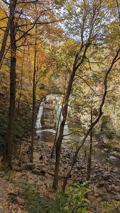 Dennis Cove Recreation Area 4