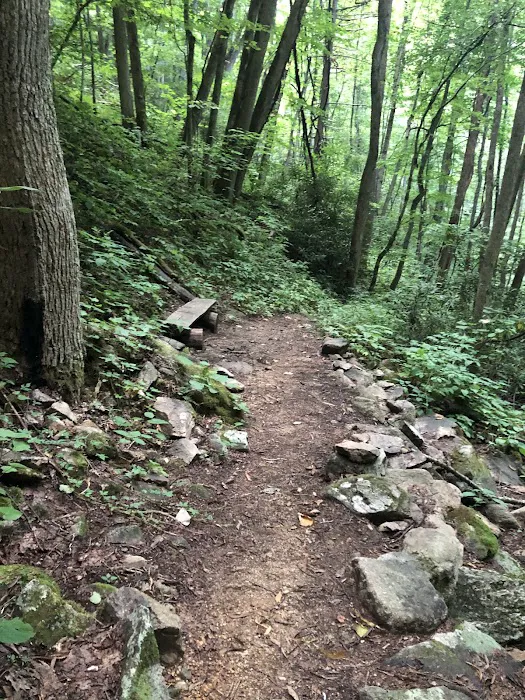 Dennis Cove Recreation Area 7