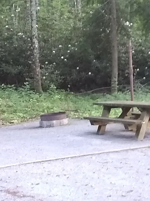 Dennis Cove Recreation Area 9
