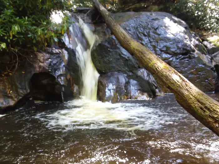Dennis Cove Recreation Area 10