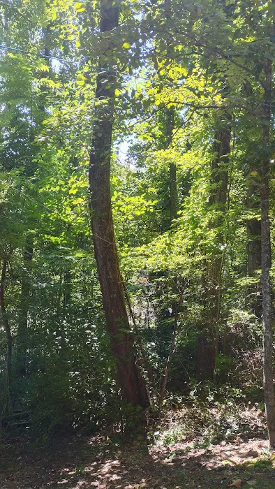 Little Pond Mountain Campground 7