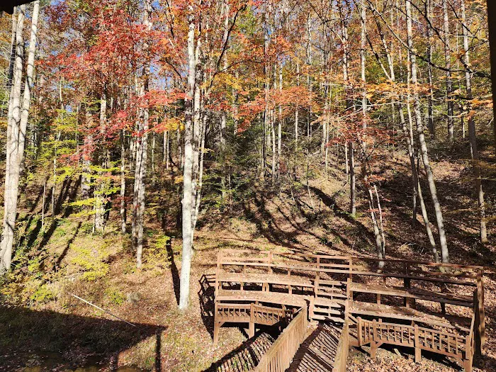 Black Bear Resort 7