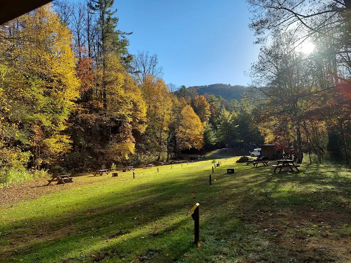 Black Bear Resort 5