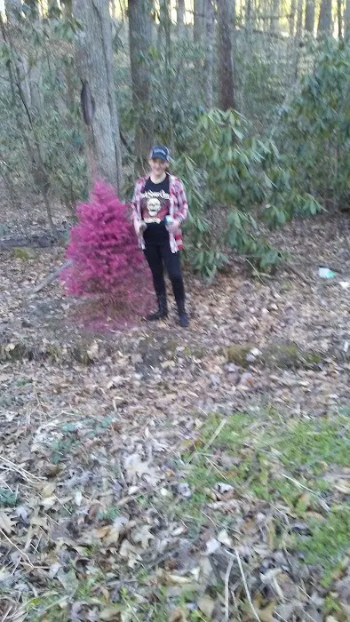 Little Stoney Creek Campground 9