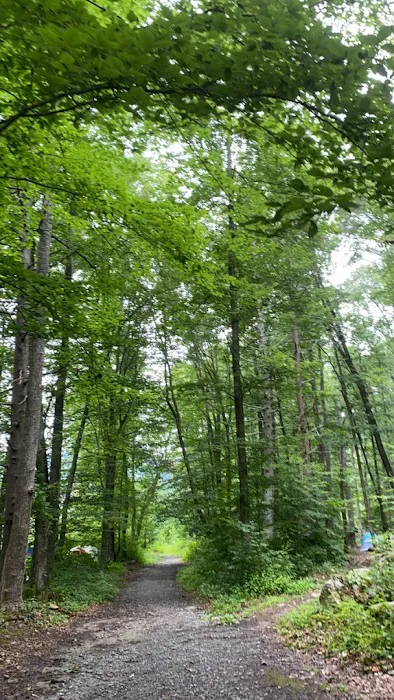 Little Stoney Creek Campground 8