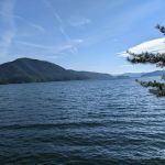 Cardens Bluff Campground