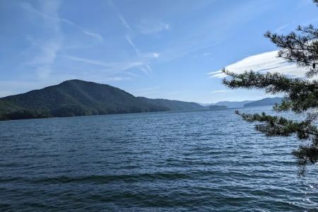 Cardens Bluff Campground