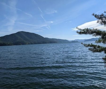 Cardens Bluff Campground