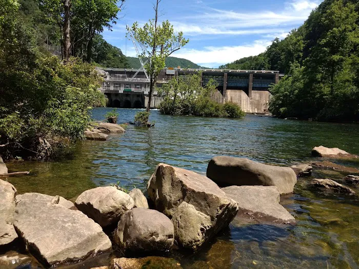 Watauga Dam Campground 4