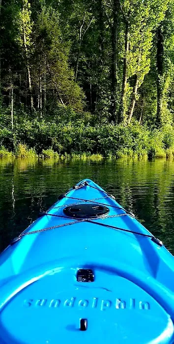 Watauga Dam Campground 7