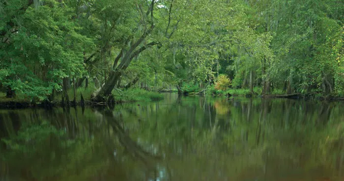 Hunts Bluff Campground 1