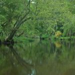 Hunts Bluff Campground