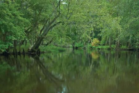 Hunts Bluff Campground