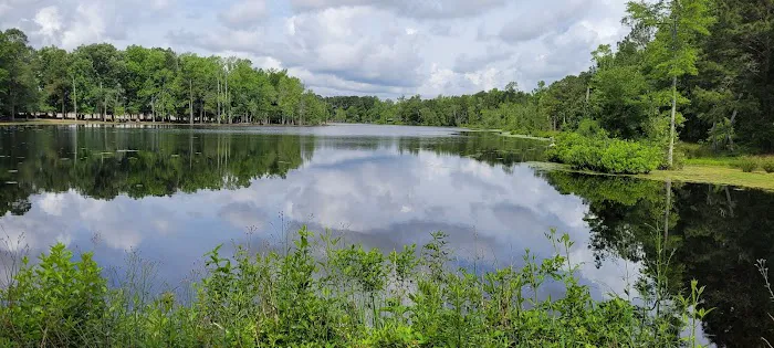 Penderlea Lake Campground 3