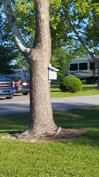 Buffaloe Enterprises & RV Park 7