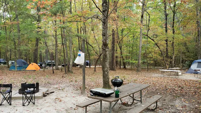 William B. Umstead Family Campground 3