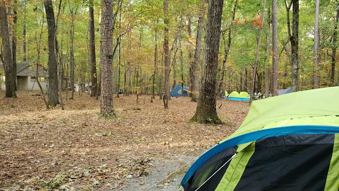 William B. Umstead Family Campground 2