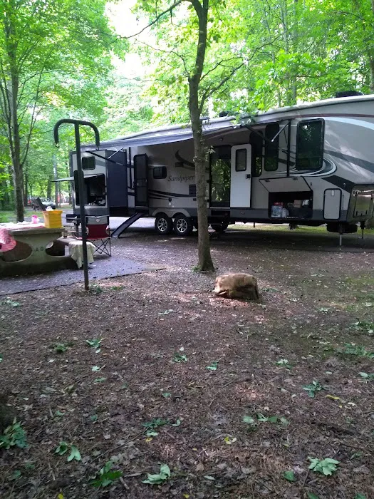 William B. Umstead Family Campground 1