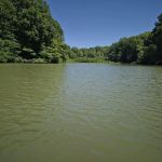 Fort Pillow Campground