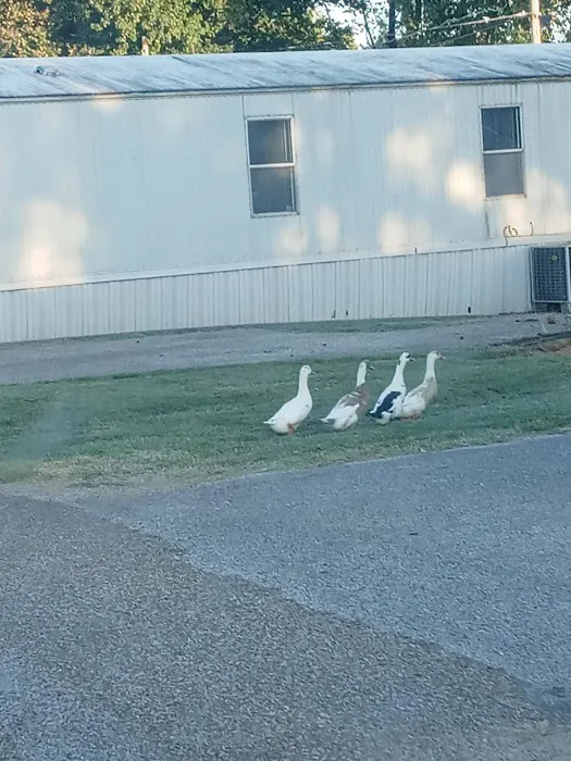 Pine Grove Mobile Home Park 2
