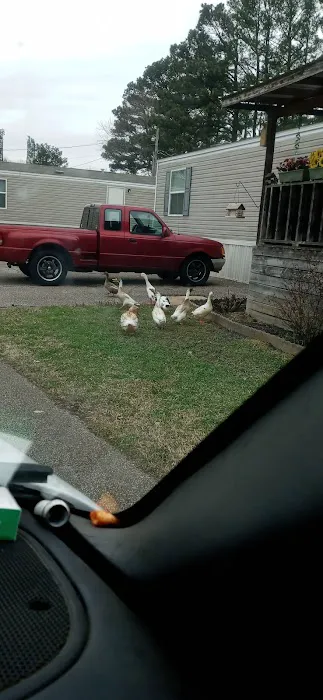 Pine Grove Mobile Home Park 5