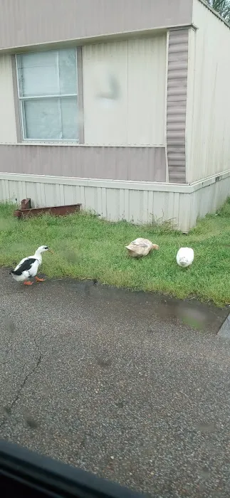 Pine Grove Mobile Home Park 7