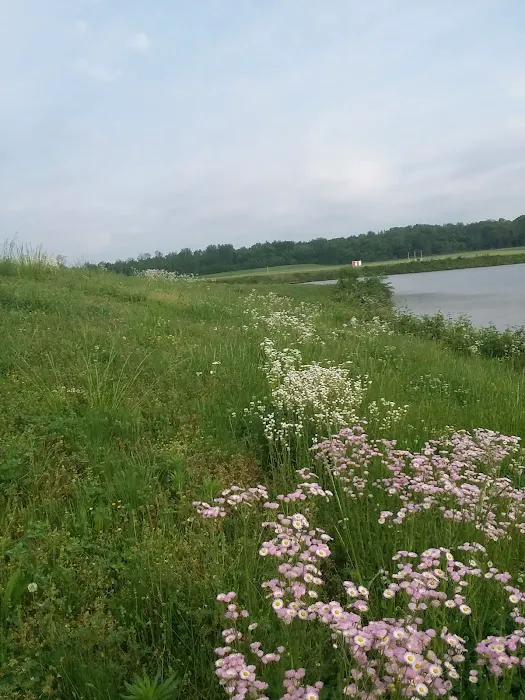 Navy Lakes RV Park & Recreation Event Center 1