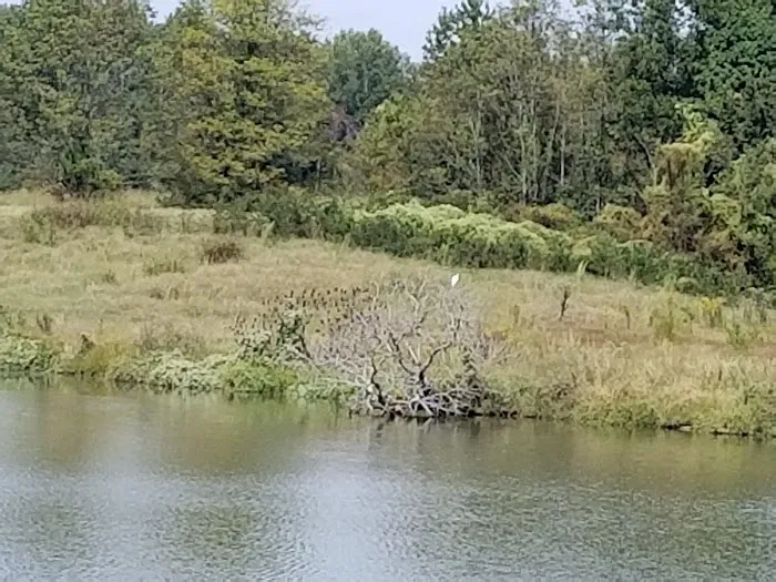 Navy Lakes RV Park & Recreation Event Center 7