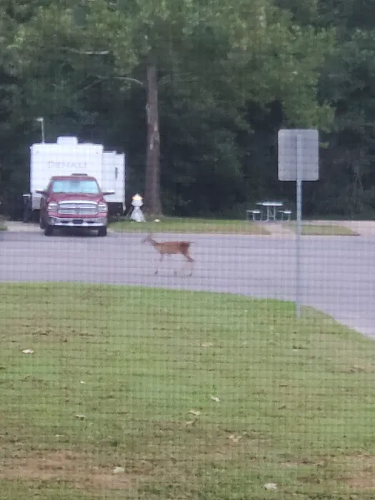 Midway RV Park 10