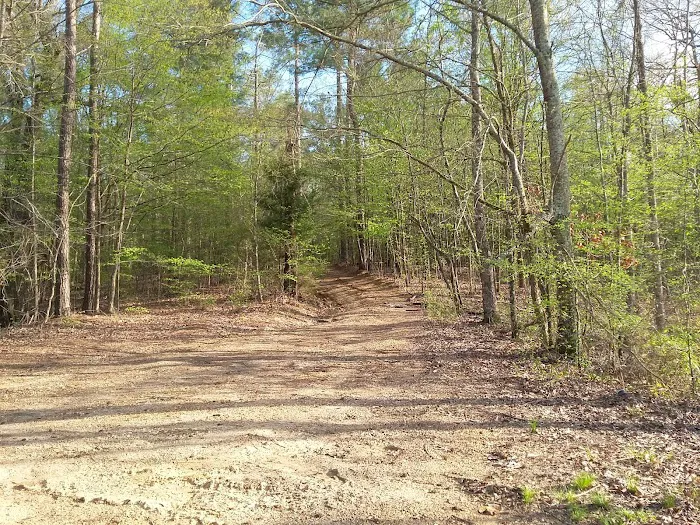 Wallace Creek Campground 9