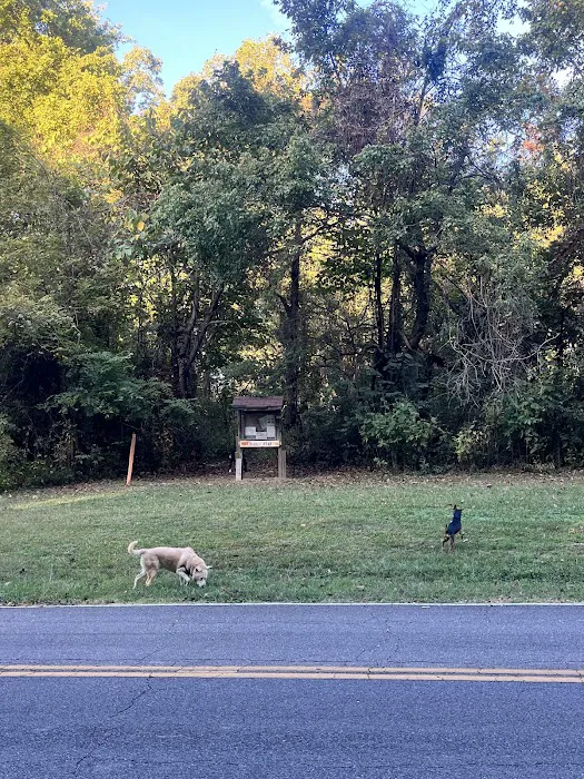 T.O. Fuller State Park Campground 4