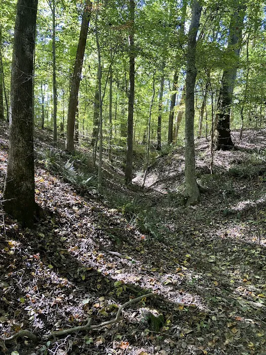 T.O. Fuller State Park Campground 9