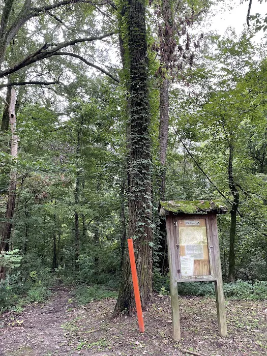 T.O. Fuller State Park Campground 10