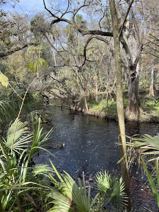Timberline Glamping at Hillsborough River 6