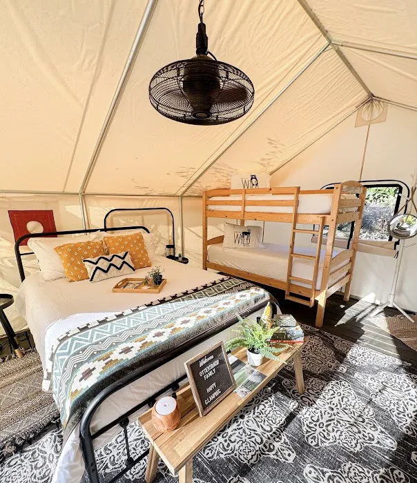Timberline Glamping at Hillsborough River 10