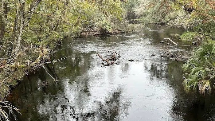 Hillsborough River State Park Campground 2