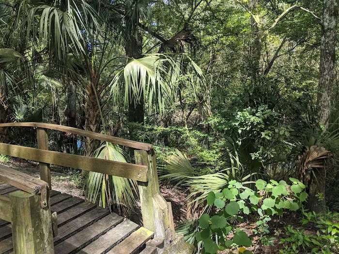 Hillsborough River State Park Campground 6