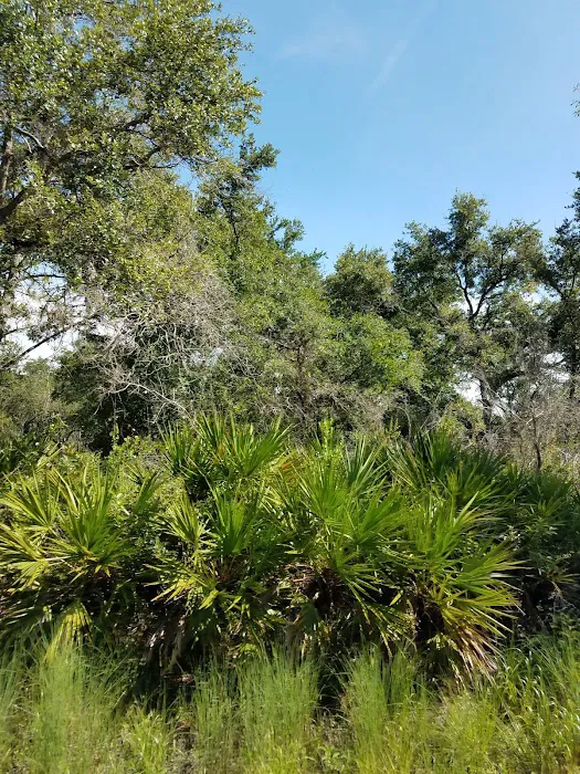 Hillsborough River State Park Campground 9